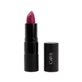 Lipstick Passion P042